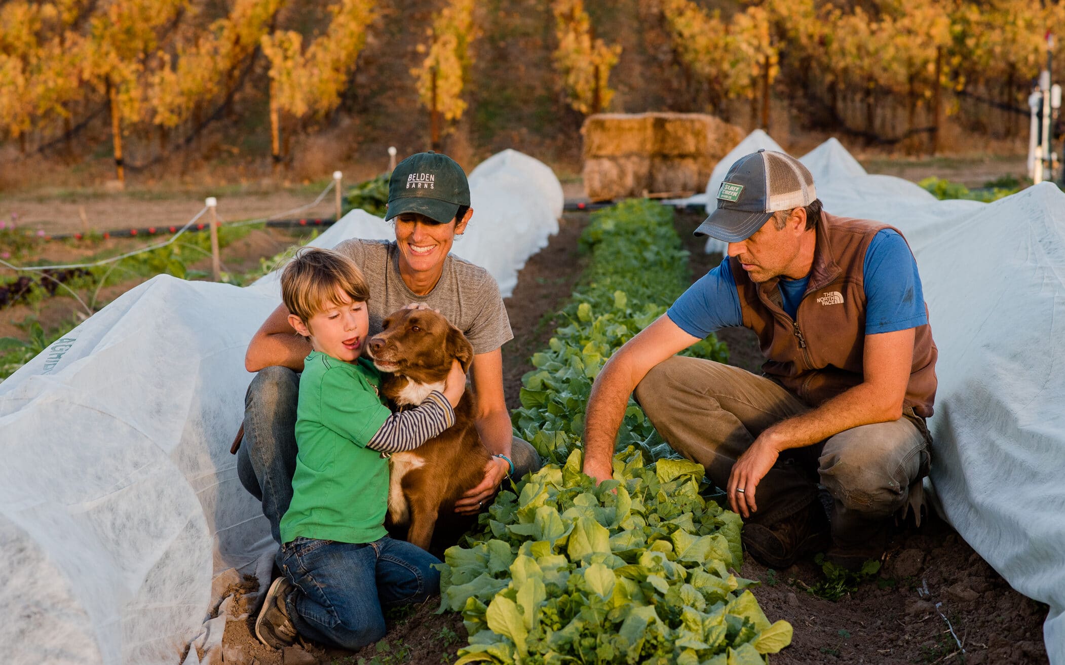 Jenny trotter Kibo Farm Family Business USF Gellert edited